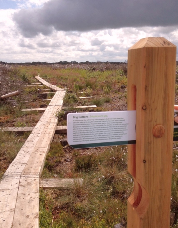 Coillte's new section of boardwalk, part of an EU LIFE project